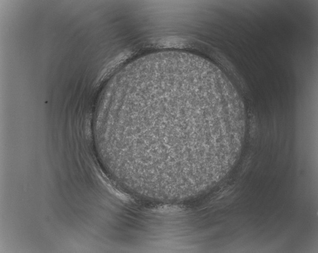 X0000076080537200610202043