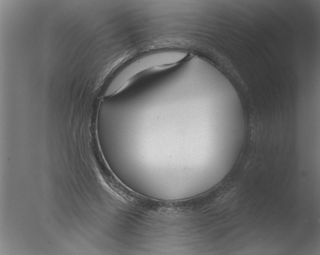 X0000076080538200610202043