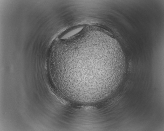 X0000076080539200610202043