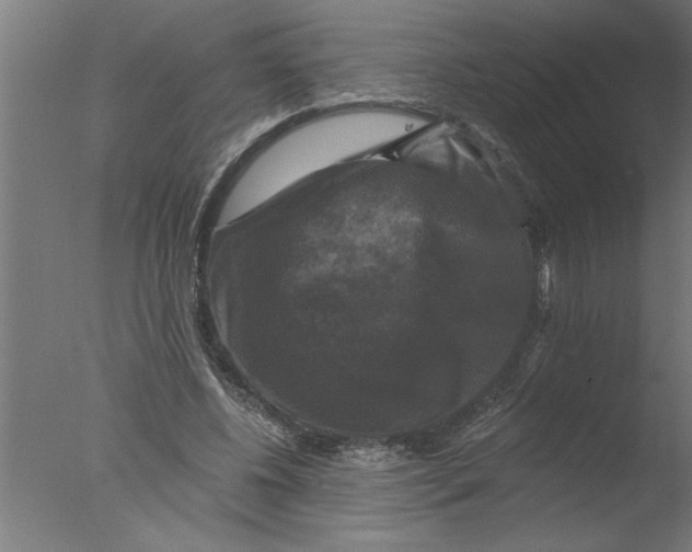 X0000076080540200610202043