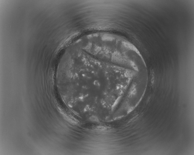 X0000076080542200610202043