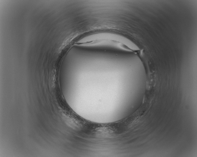 X0000076080544200610202043