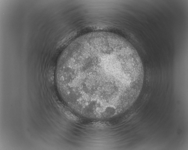 X0000076080545200610202043