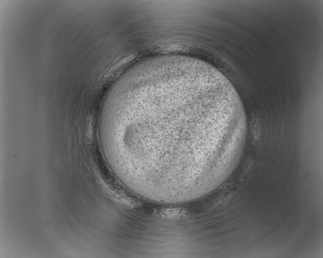 X0000076080546200610202043