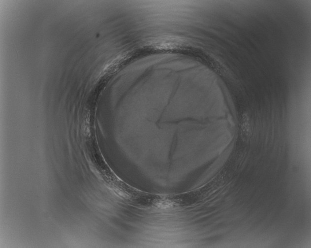 X0000076080547200610202043