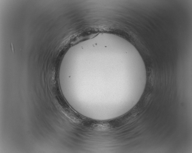 X0000076080548200610202043