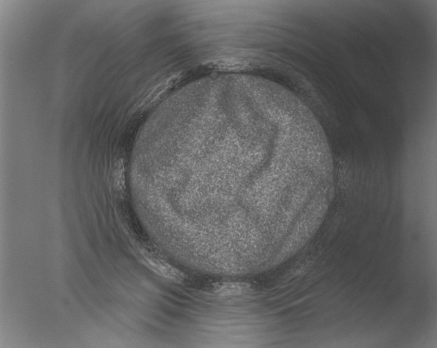 X0000076080549200610202043