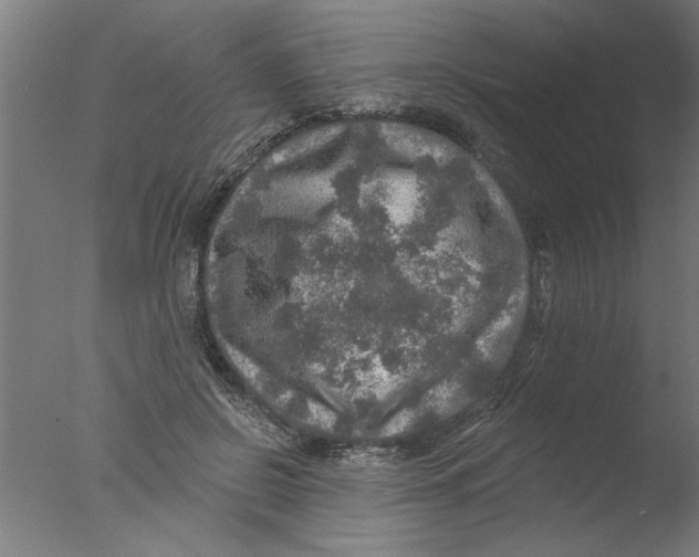 X0000076080550200610202043