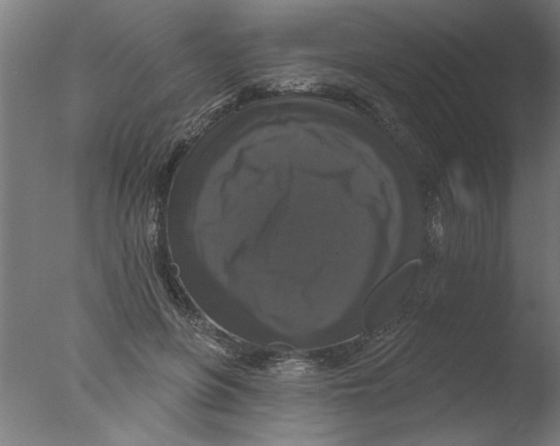 X0000076080551200610202043