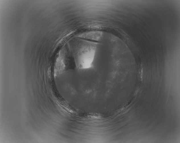 X0000076080552200610202043