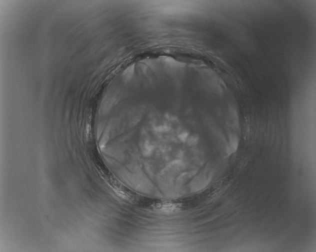 X0000076080553200610202043