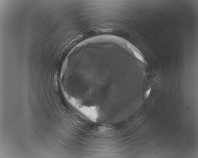 X0000076080555200610202043