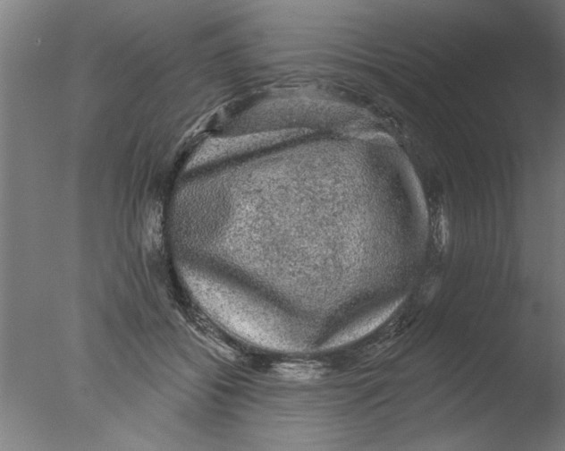 X0000076080556200610202043