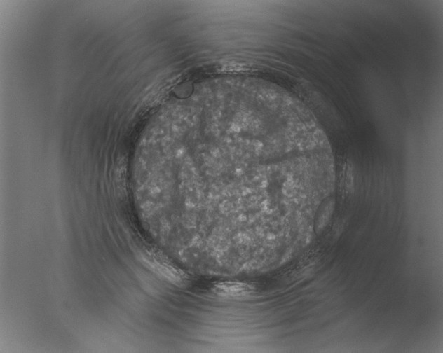 X0000076080557200610202043