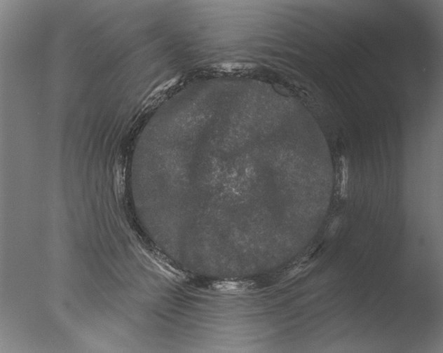 X0000076080558200610202043