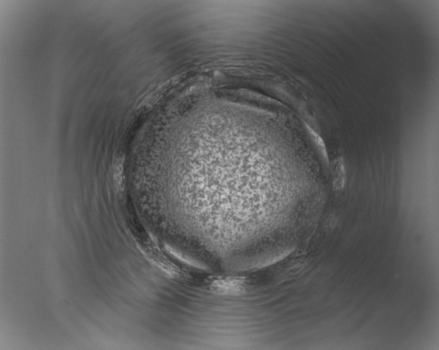 X0000076080560200610202043