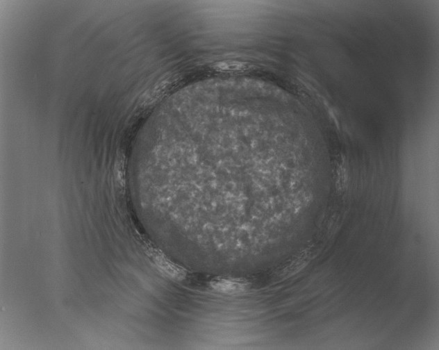 X0000076080561200610202043