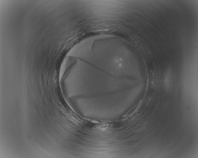 X0000076080563200610202043