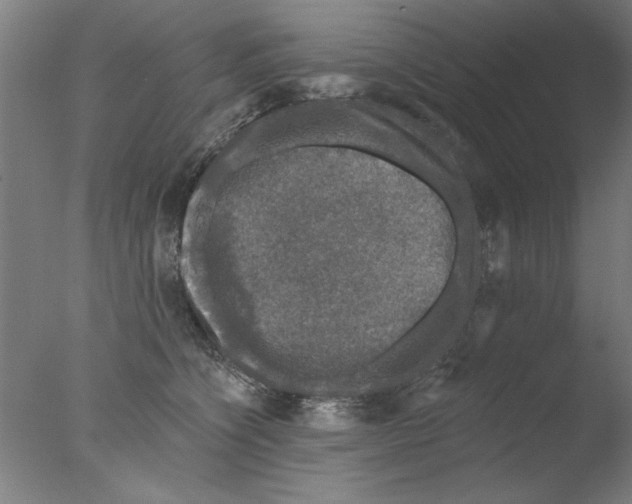 X0000076080564200610202043