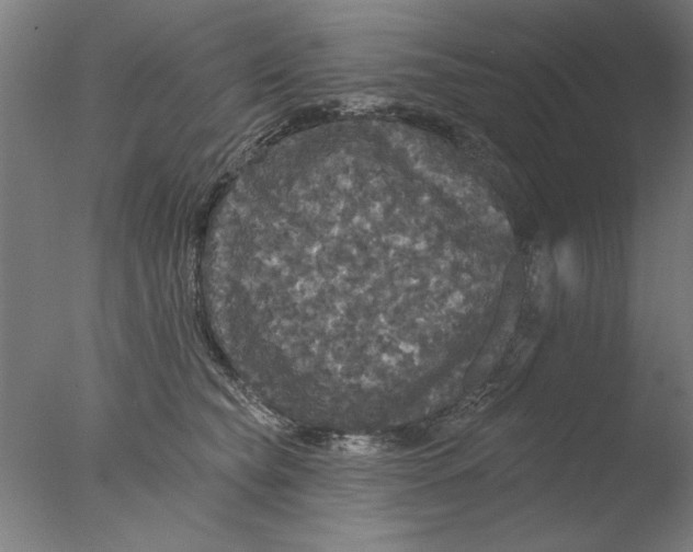 X0000076080565200610202043