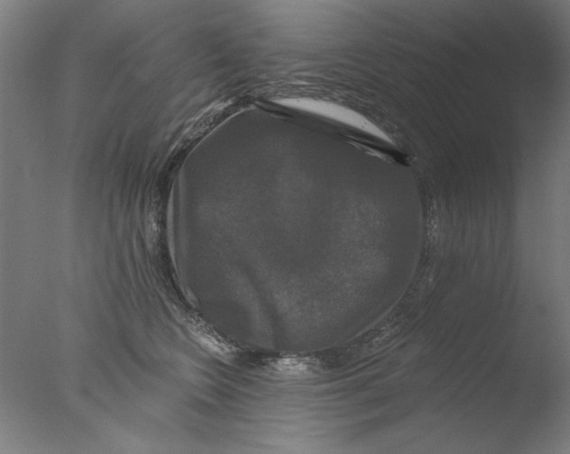 X0000076080566200610202043