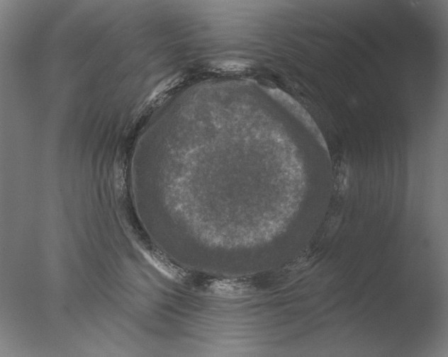 X0000076080568200610202043