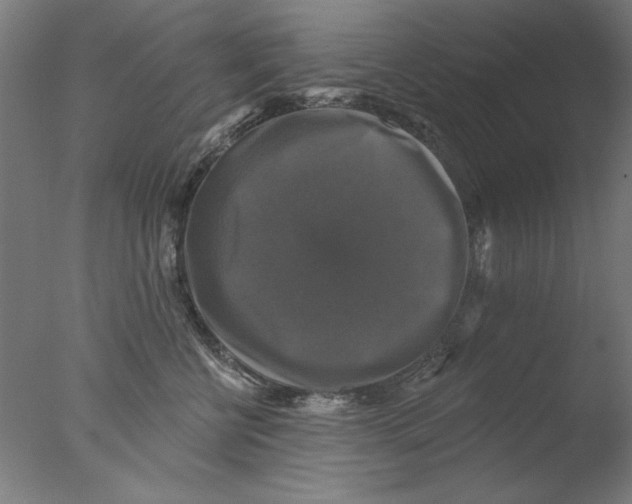 X0000076080570200610202043