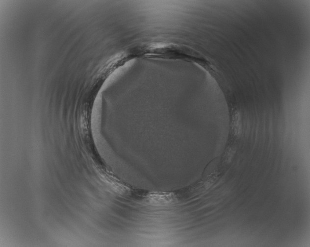 X0000076080571200610202043