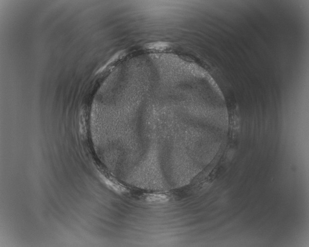 X0000076080572200610202043