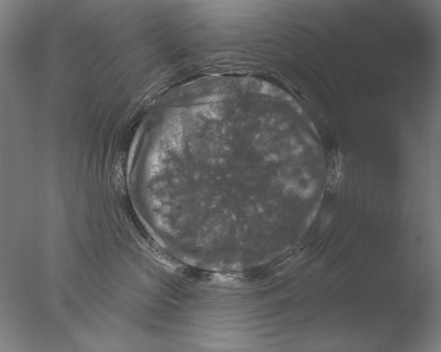 X0000076080573200610202043