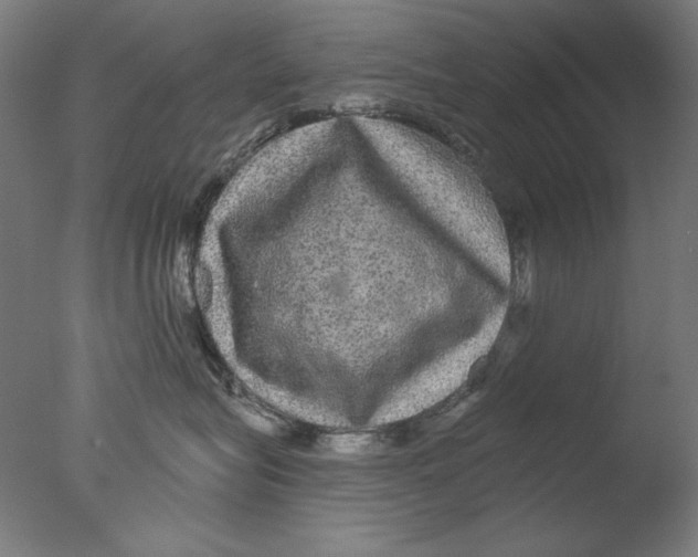 X0000076080575200610202043