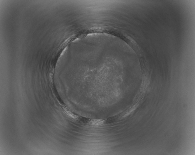 X0000076080576200610202043