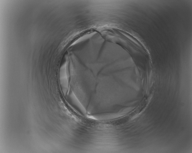 X0000076080577200610202042