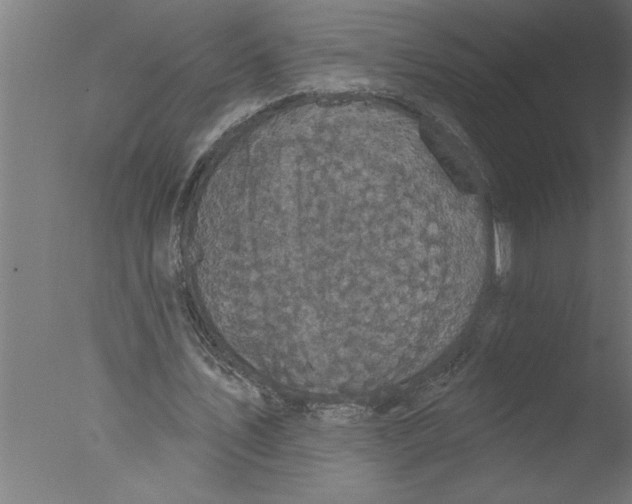 X0000076080579200610202042