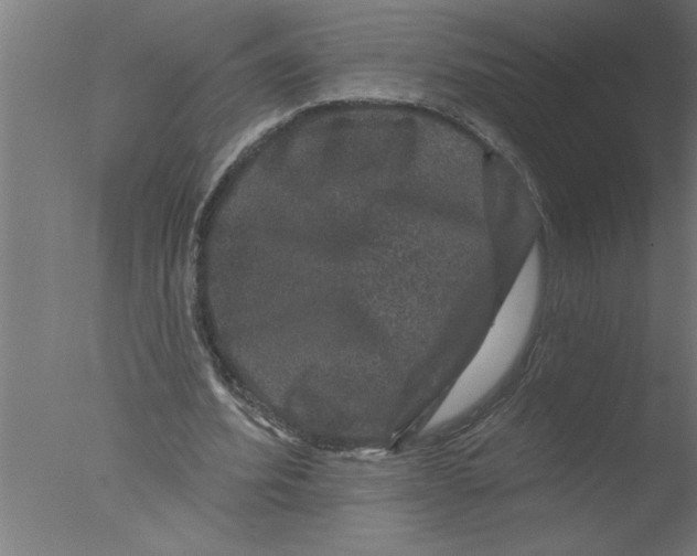 X0000076080580200610202042