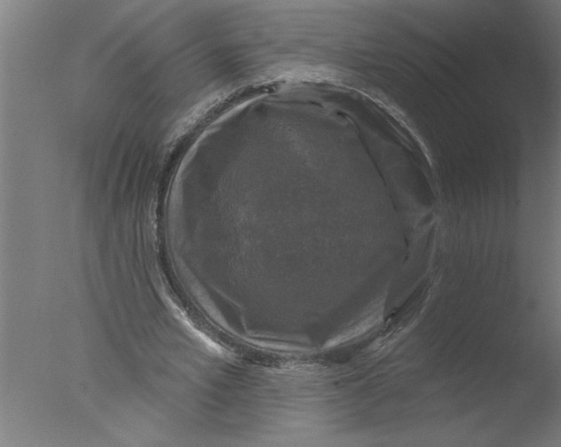 X0000076080581200610202042