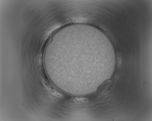 X0000076080583200610202042