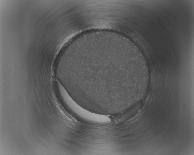 X0000076080584200610202042