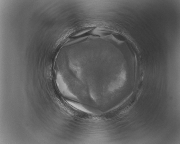 X0000076080585200610202042