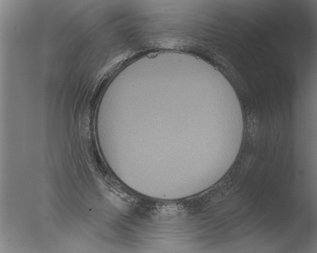 X0000076080587200610202042