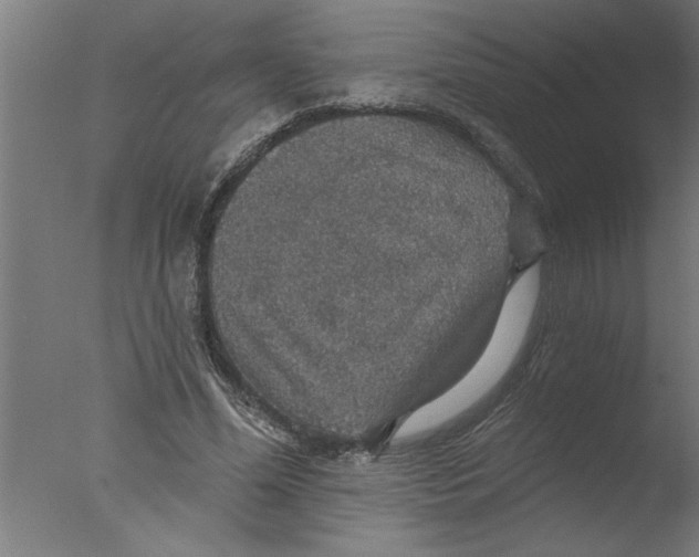 X0000076080588200610202042