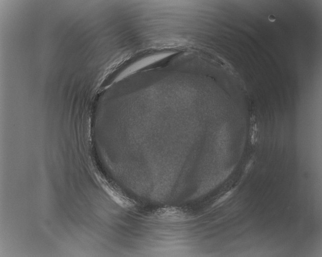 X0000076080589200610202042