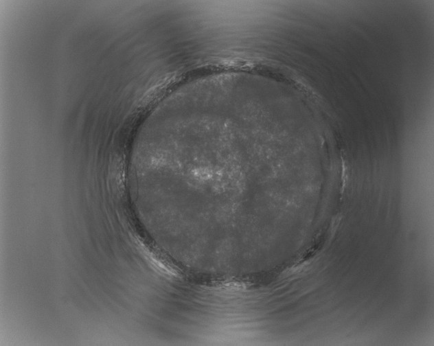 X0000076080593200610202042