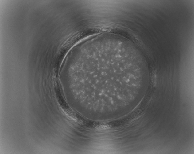 X0000076080594200610202042