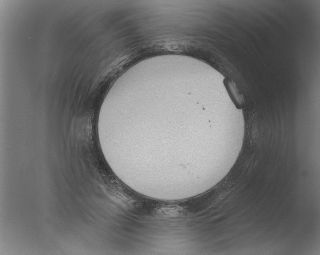 X0000076080595200610202042