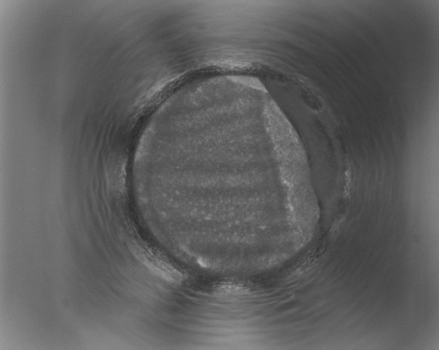 X0000076080596200610202042