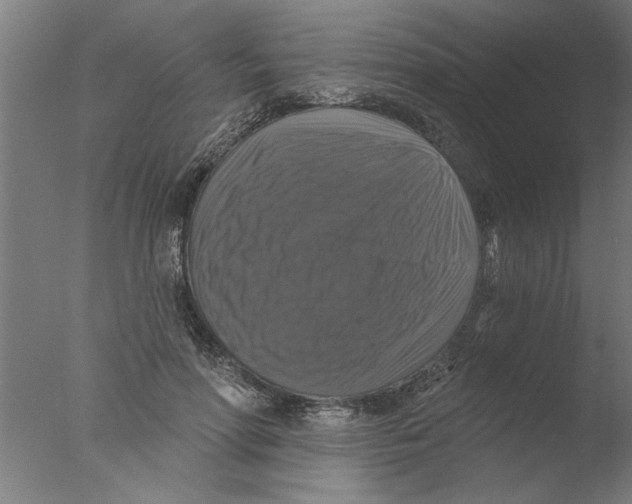 X0000076080598200610202042