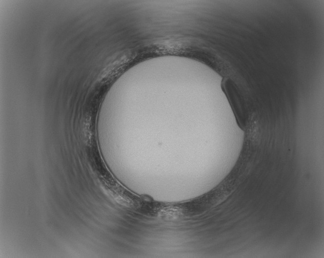 X0000076080599200610202042