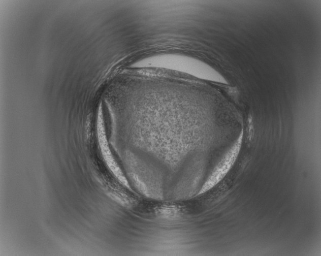 X0000076080600200610202042