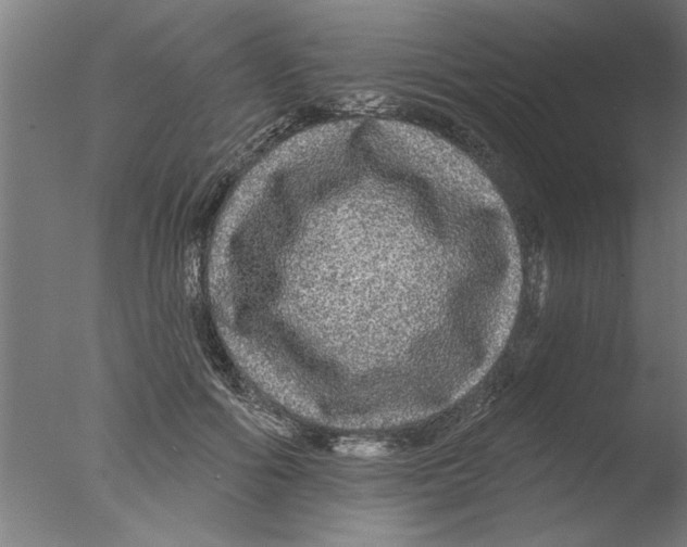 X0000076080602200610202042